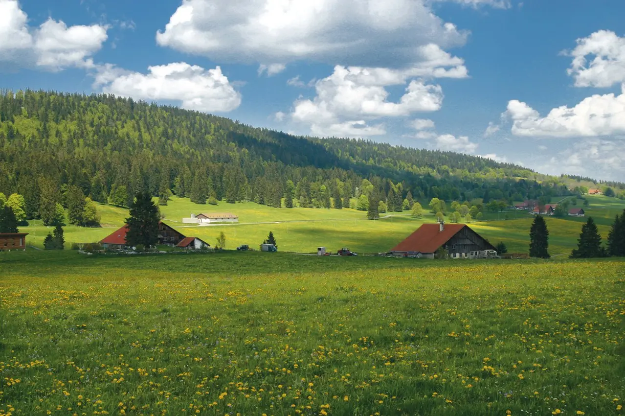 Paysage rural du canton de Neuchâtel