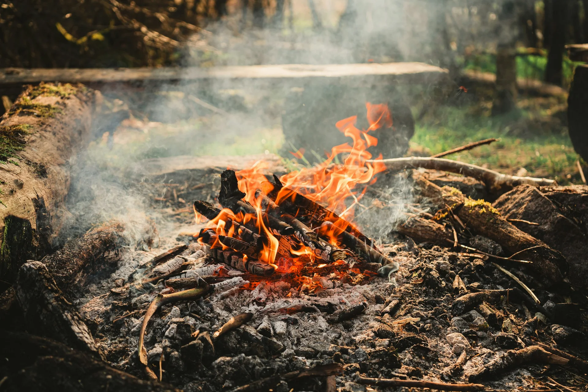 Feu de bois et braises en forêt, illustration d’ambiance